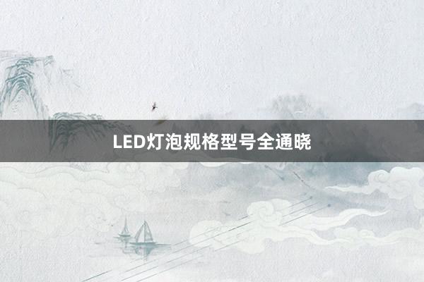 LED灯泡规格型号全通晓